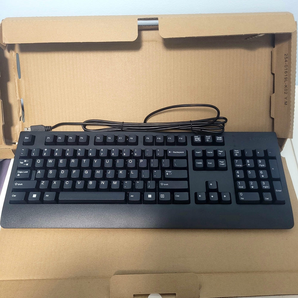 Lenovo Sleek Black Wired Keyboard Model KU1619